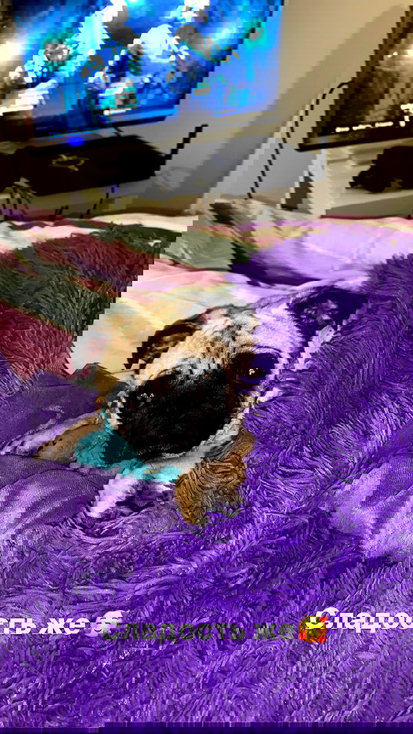 nyityam nyityam archive image