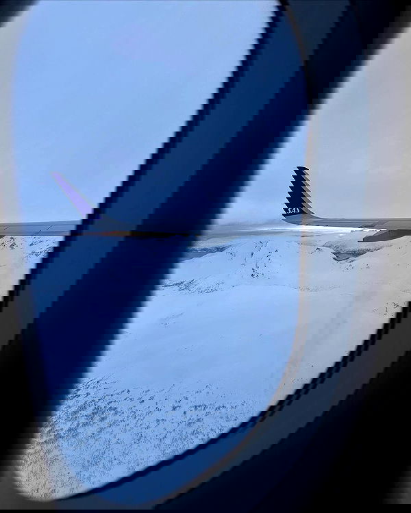 silkton image ~ Altpins