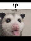ellaexplicit_ Altpins Profile Picture