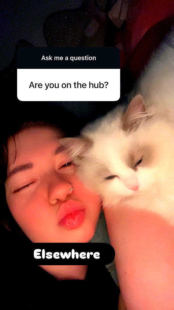 lamegfff instagram image archive image