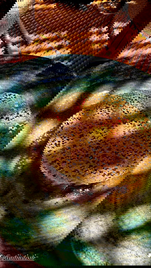 taylor.creeden taylor.creeden archive image