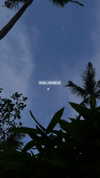 veroni22ka Altpins Profile Picture