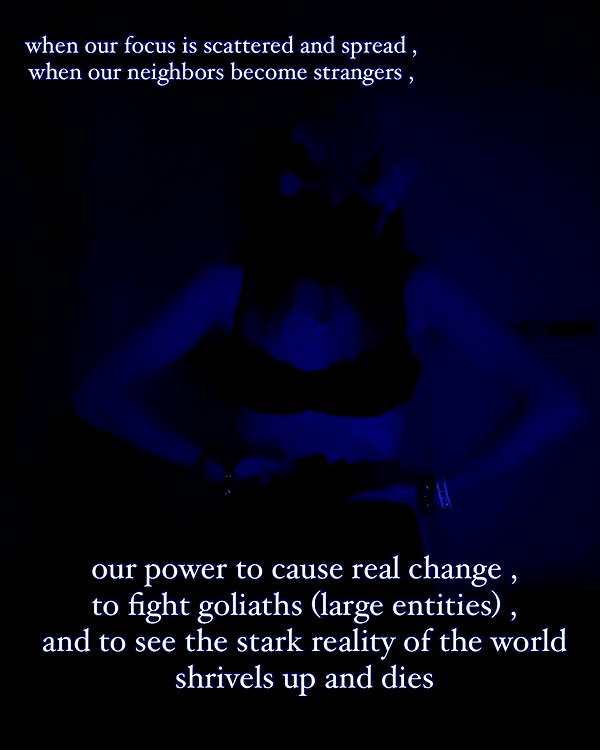 bugz4brainz instagram image archive image