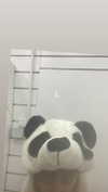 babynympho_archive Altpins Profile Picture