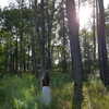 lollinski Altpins Profile Picture