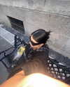 ll.lu1s Altpins Profile Picture