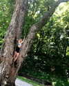 mileycyrus Altpins Profile Picture