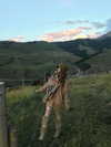 fair_mua Altpins Profile Picture