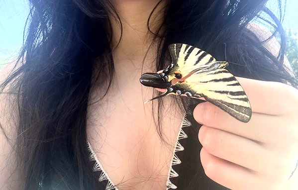 svcriligiosa instagram image archive image