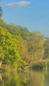 ochya0 Altpins Profile Picture