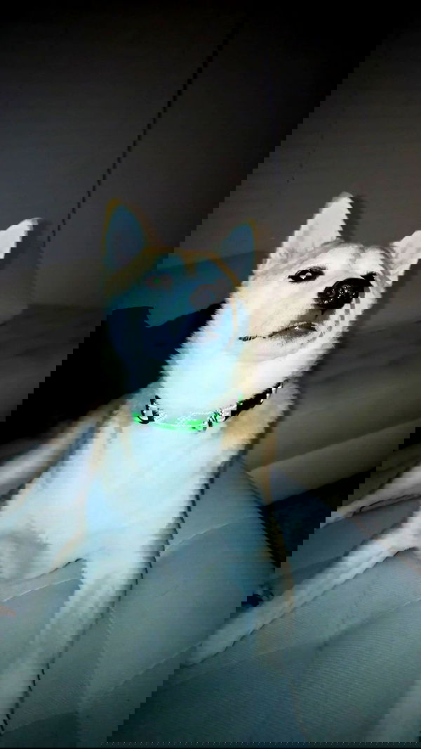 zommmbri zommmbri archive image