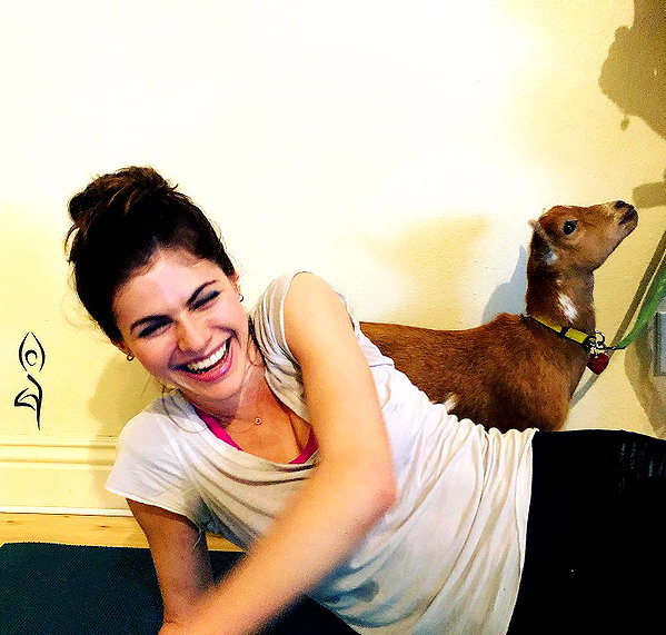 alexandradaddario instagram image archive image