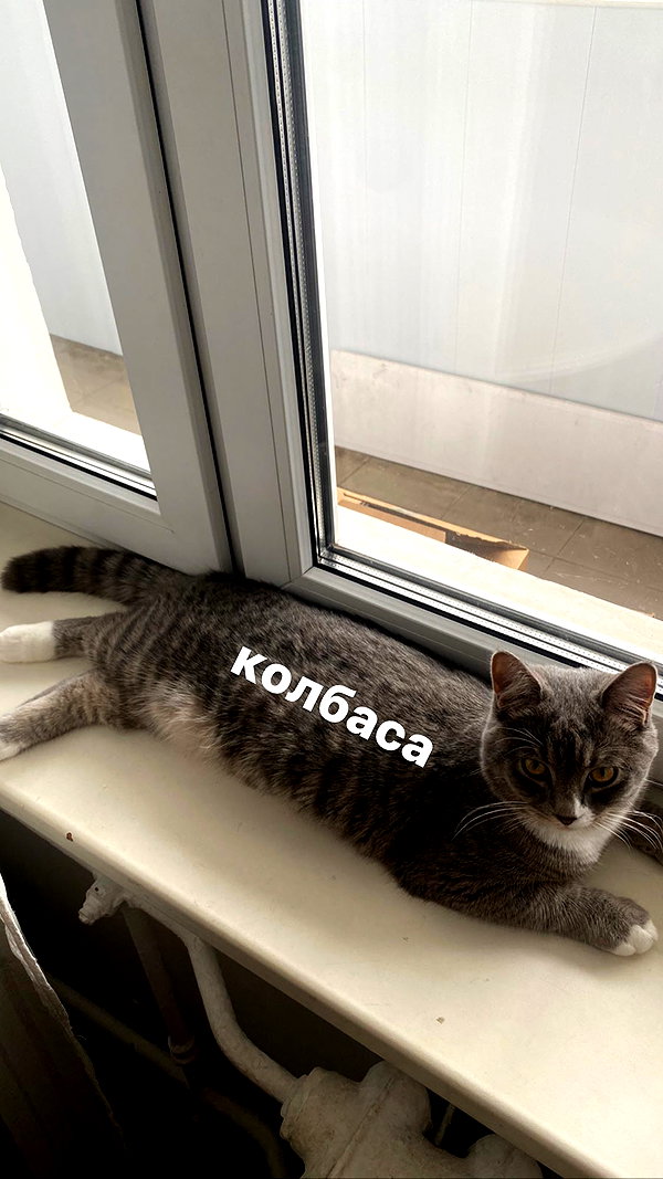 kkulakovaa instagram image archive image