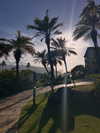 isavramirez Altpins Profile Picture