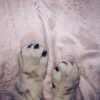 alishevs Altpins Profile Picture