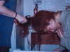 evasela__ Altpins Profile Picture