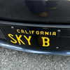 skylasanders Altpins Profile Picture