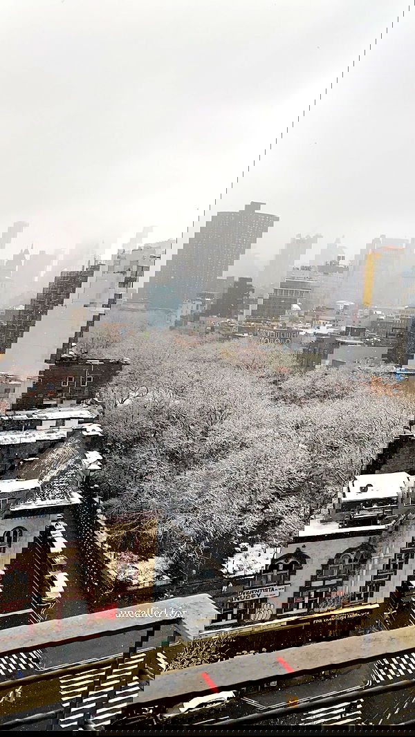 taylor.creeden taylor.creeden archive image