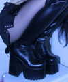 amanitalis Altpins Profile Picture