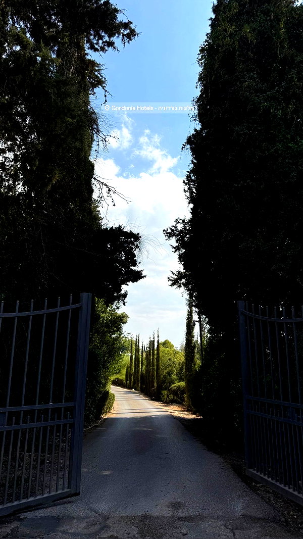 adamnaky instagram image archive image