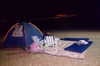 michal_cohen017 Altpins Profile Picture