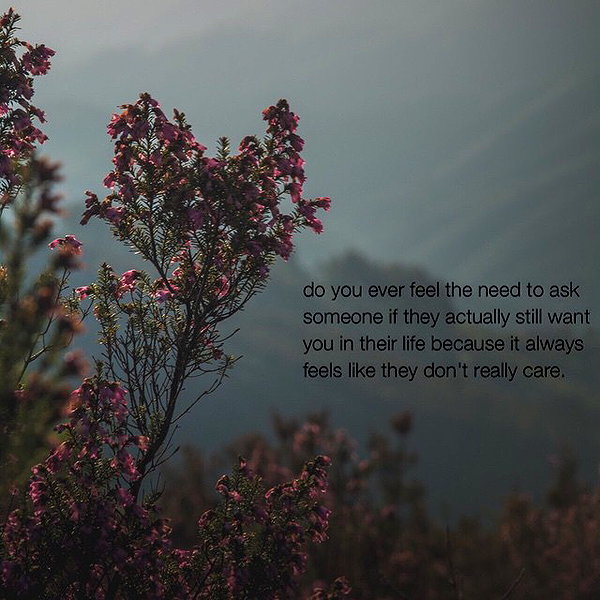 hallucineon instagram image archive image