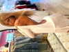 elizabethcampbelljones Altpins Profile Picture