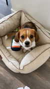 kyla.doddsss Altpins Profile Picture