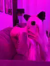 chica.niebla Altpins Profile Picture