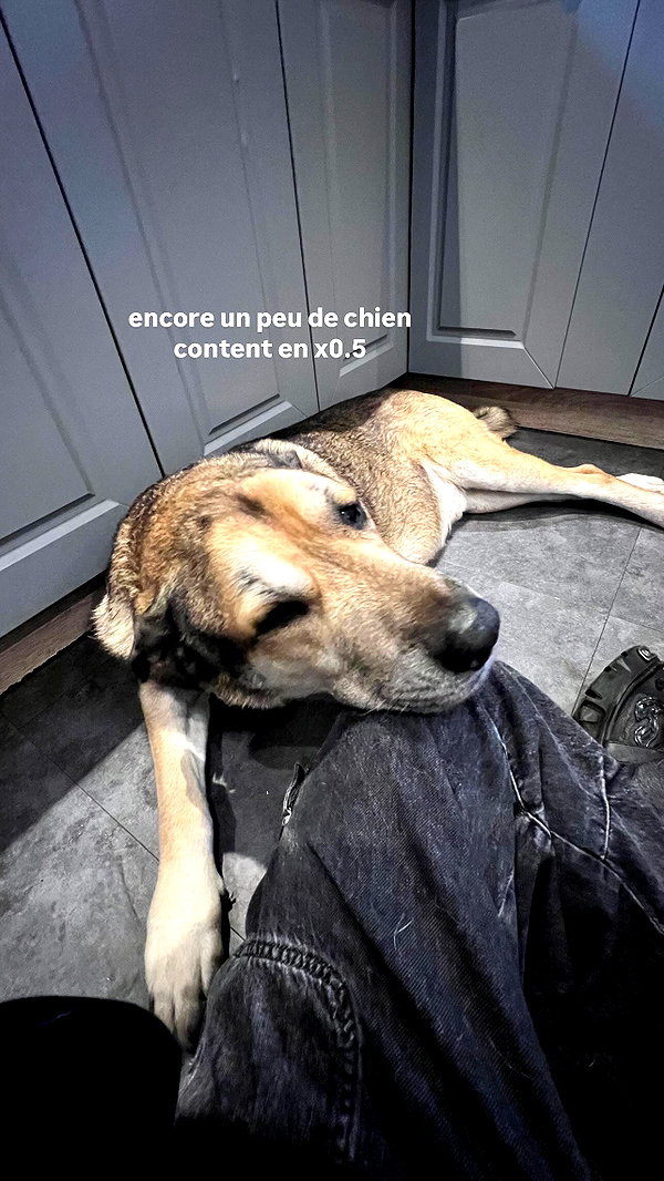_urbaneva instagram image archive image