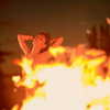 mileycyrus Altpins Profile Picture