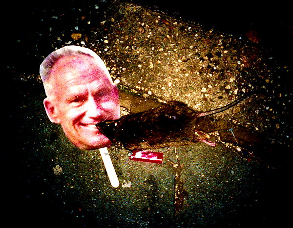 bugz4brainz instagram image archive image