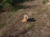 marlene_808 Altpins Profile Picture