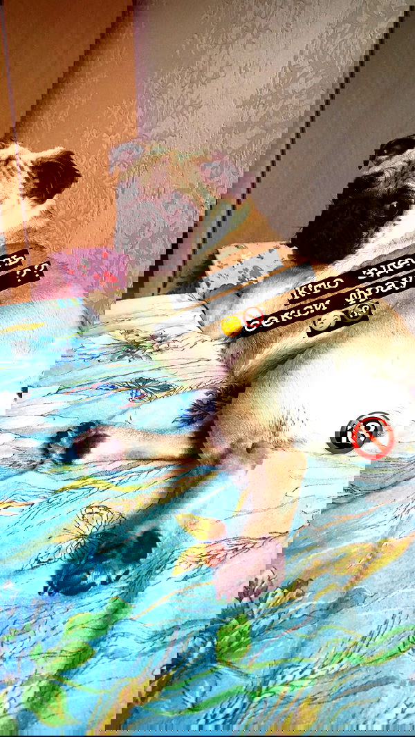 nyityam nyityam archive image