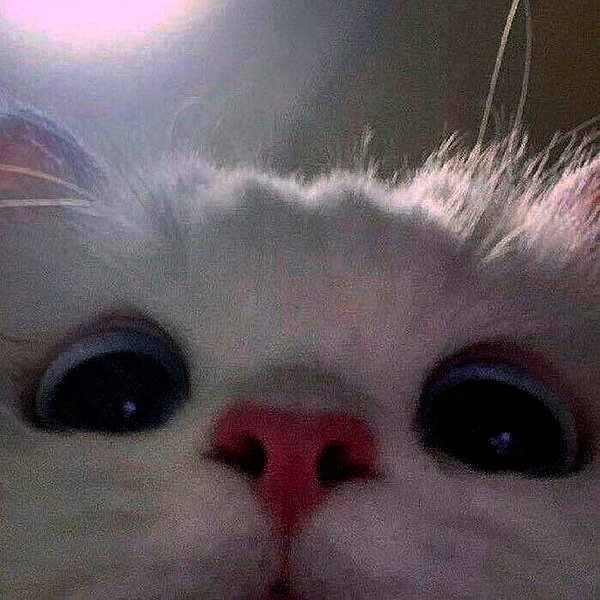 yuna_1_27 instagram image archive image