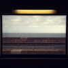 alexandradaddario Altpins Profile Picture