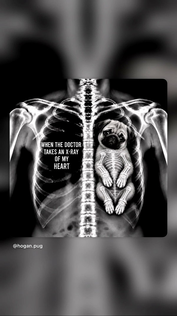 Archived image from @danaikontodiou on Instagram