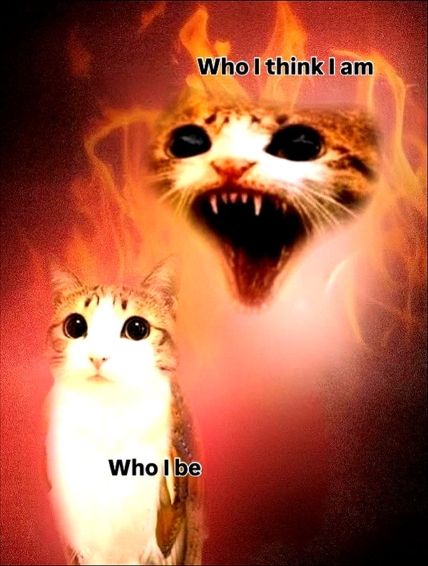 milkibunshehe instagram image archive image