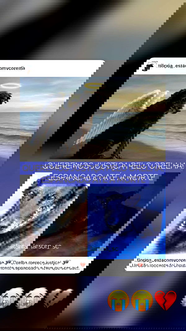 kaarolzx kaarolzx archive image