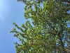 marlene_808 Altpins Profile Picture