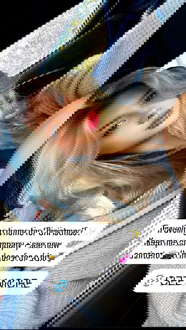 gabiciamp gabiciamp archive image