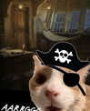 catl0verr69 Altpins Profile Picture