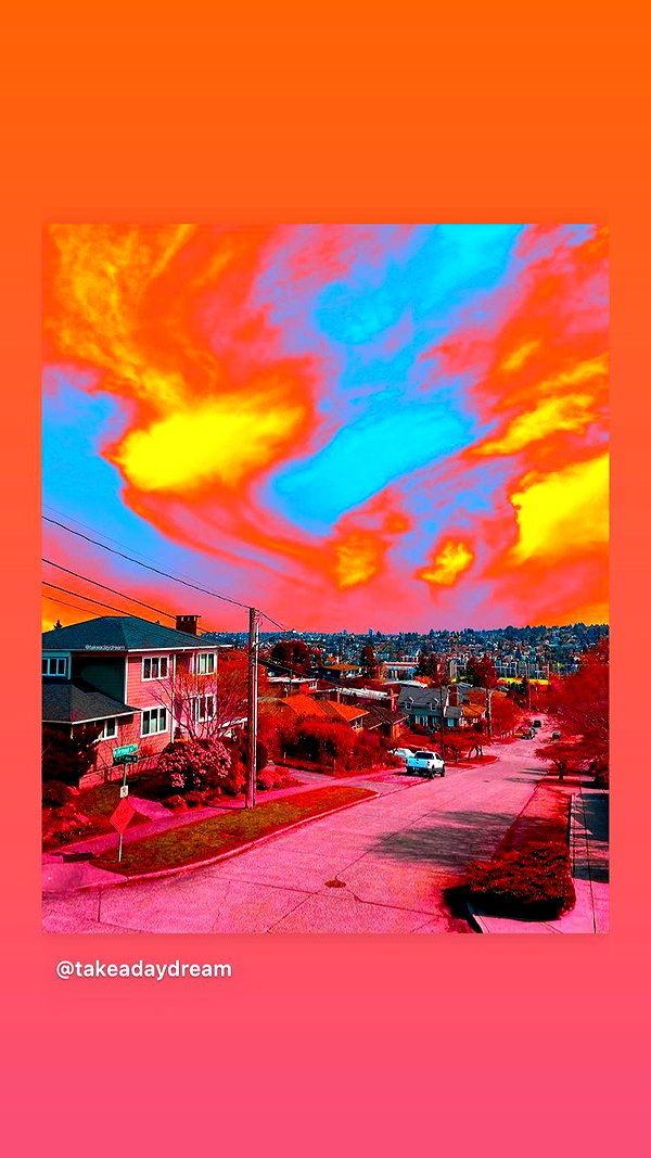 haileylayfield instagram image archive image