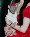 impoppy Altpins Profile Picture