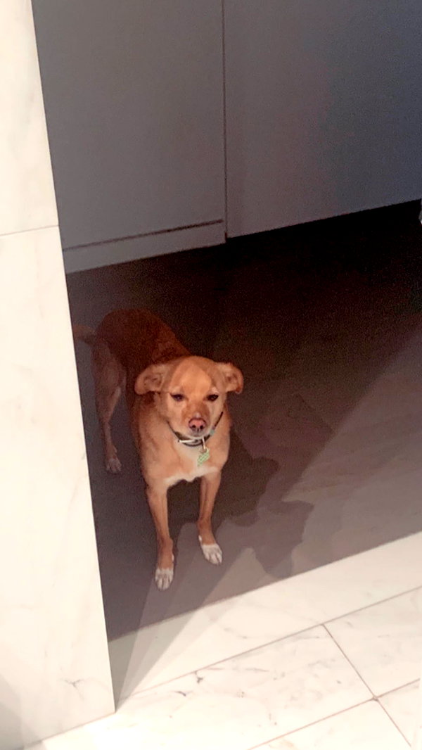 arianagrande instagram image archive image