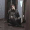metallic_smack Altpins Profile Picture