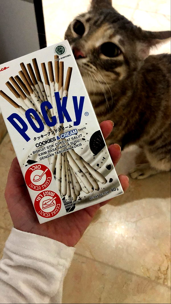 Archived image from @notchicore on Instagram