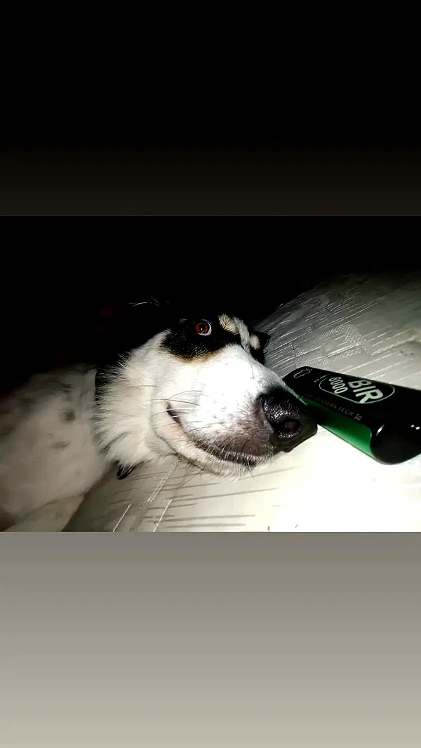 moonyyyya moonyyyya archive image