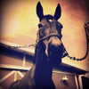 gigihadid Altpins Profile Picture
