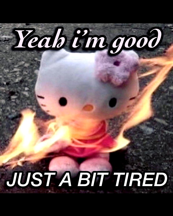 leanbeefpatty instagram image archive image
